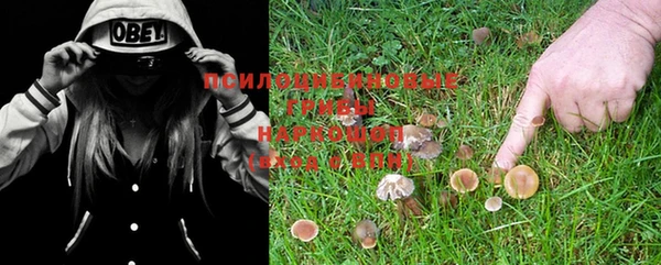 прущая мука Белокуриха