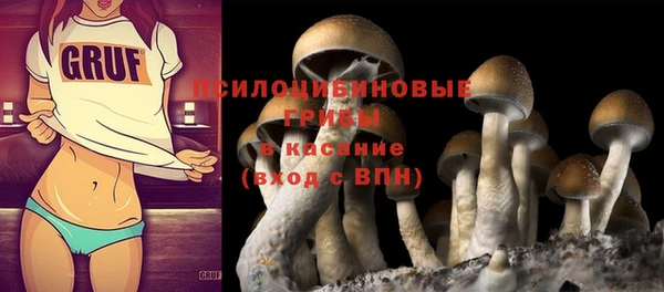 гидропоника Белоозёрский