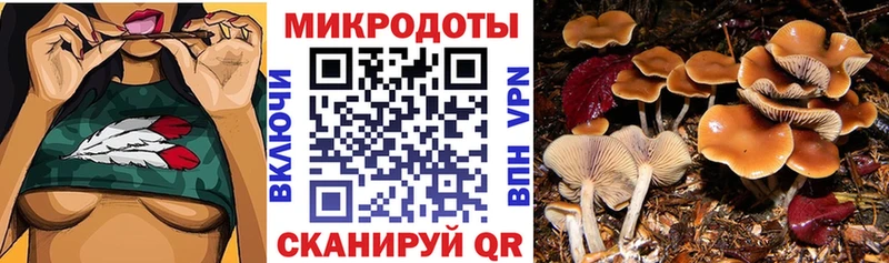Псилоцибиновые грибы ЛСД  Купить закладки  Бугульма 